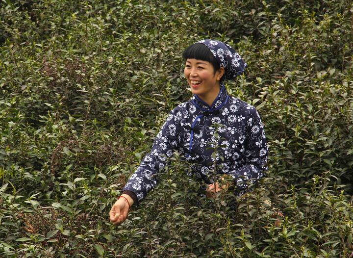 伊人app无广告直播入口 排行6